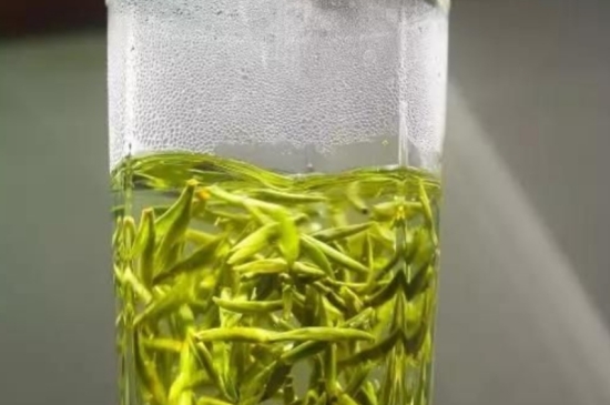 西湖龍井茶毫和發(fā)霉區(qū)別圖片，長霉的龍井茶葉會(huì)是什么樣？