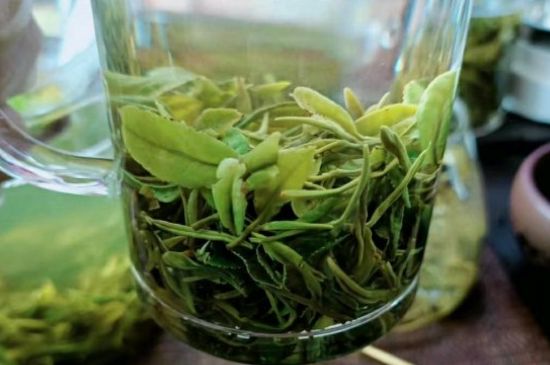 什么綠茶味道濃香，那個(gè)綠茶比較濃香？