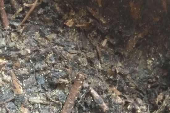 黑茶茯茶保存五大忌，茯茶收藏的注意事項(xiàng)