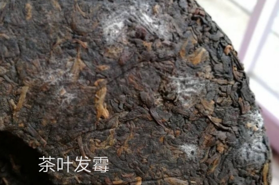 西湖龍井茶毫和發(fā)霉區(qū)別圖片，長霉的龍井茶葉會(huì)是什么樣？